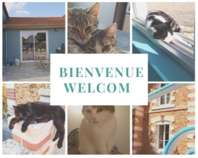 Hotels in Traînel